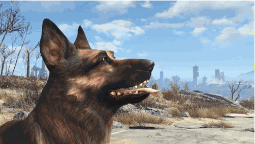Dogmeat-Fallout-Lets-Go-Pal-1