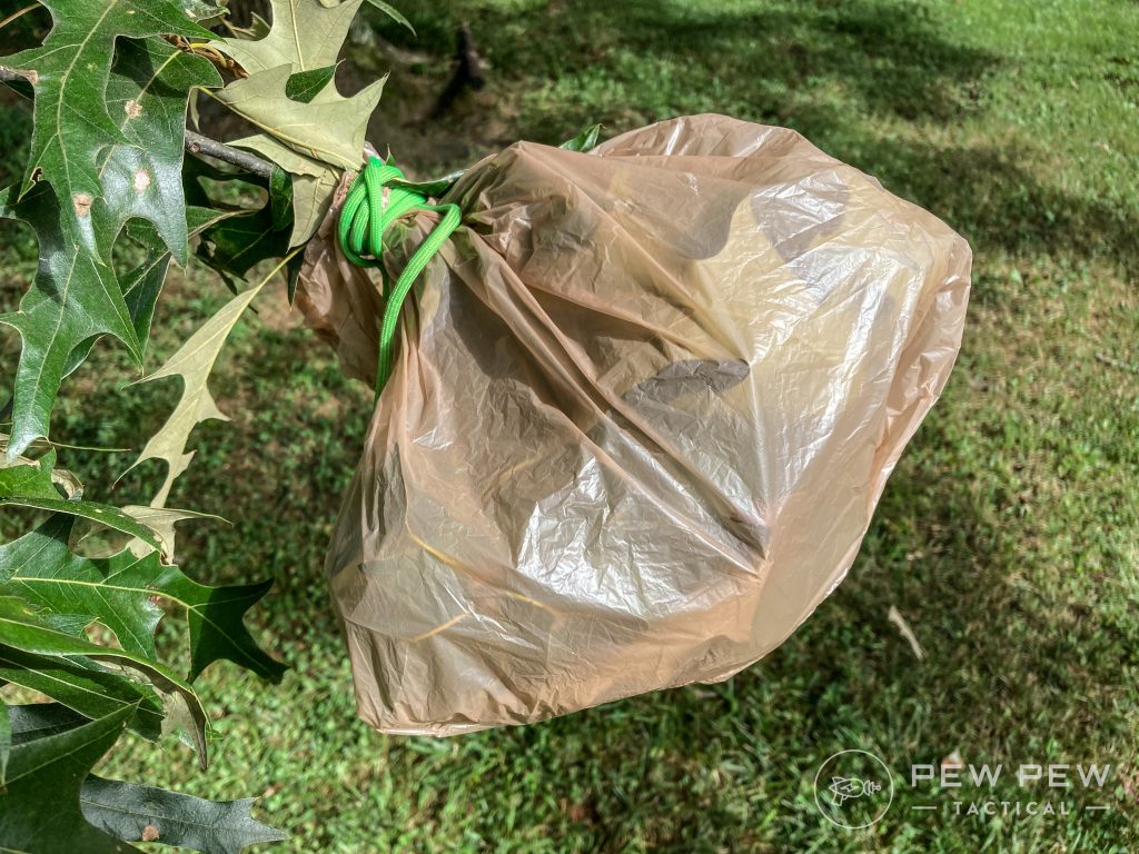 Plastic shopping bag covering branches, secured with paracord