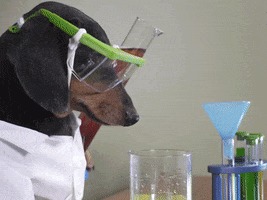 科学的狗